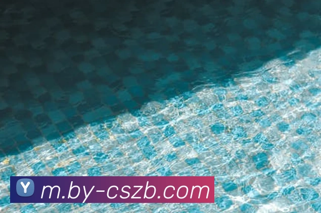 App Interface Preview